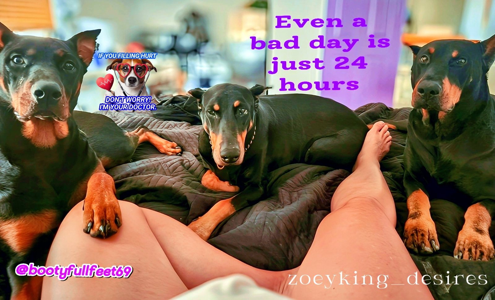 Three service dogs, Cali, Ajax, and Nelly, resting together. Overlaid text reads, "Even a bad day is just 24 hours," serving as a reminder to Armor up and let Desires ignite even after tough moments.